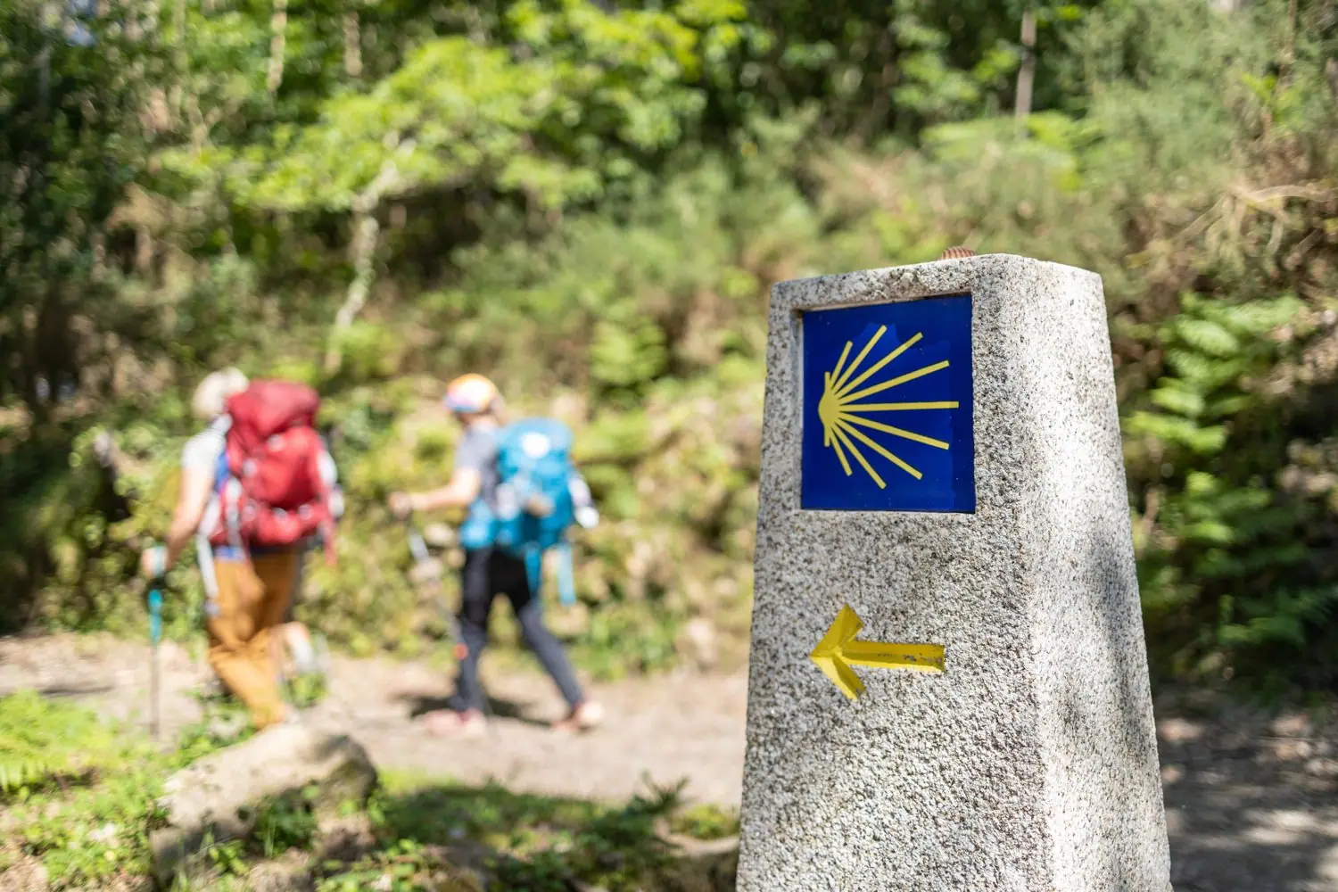 Camino de Santiago dla początkujących - jak przygotować się do pielgrzymki